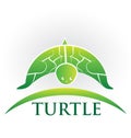 Turtle wildlife, preservation vector