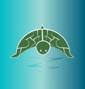 Turtle wildlife, preservation vector