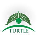 Turtle wildlife, preservation vector