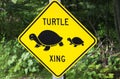 Turtle xing Royalty Free Stock Photo