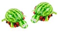 Turtles carved from a watermelon