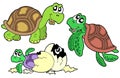 Turtles collection Royalty Free Stock Photo