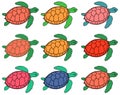 Turtles in different colors - find two identical turtles