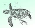 Turtles family in the deep. Hand drawn vector illustration Royalty Free Stock Photo