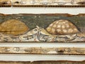 Turtles having a "worm" dinner on a wonderful medieval wooden piece of art