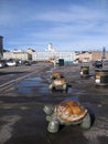 Turtles of Helsinki Royalty Free Stock Photo