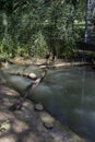 Turtles in the Lake Tisza Ecocentre in Poroszlo