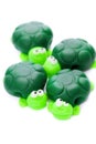 Turtles Royalty Free Stock Photo