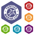 Turtles marine life icons vector hexahedron