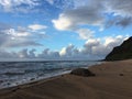 Turtles and Monk Seals at Milolii Beach at NaPali Coast on Kauai Island in Hawaii.