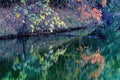 Orange Fall Leaves Green Reflection Autumn Habikino Osaka Japan