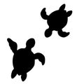 Turtles silhouette black hand draw vector.