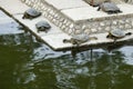 Turtles at a small lake, Nara, Japan Royalty Free Stock Photo