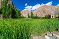 Turtuk Viilage - Landscape of Nubra Valley in Leh Ladakh, Jammu and Kashmir, India Royalty Free Stock Photo