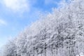 Tuscan Apennines covered with snow covered Royalty Free Stock Photo