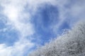 Tuscan Apennines covered with snow covered