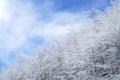 Tuscan Apennines covered with snow covered