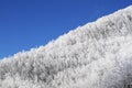 Tuscan Apennines covered with snow covered