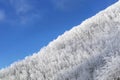 Tuscan Apennines covered with snow covered