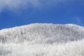 Tuscan Apennines covered with snow covered