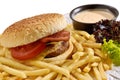 Tuscan Cheeseburger & Fries Royalty Free Stock Photo