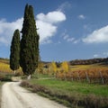 Tuscan countryside