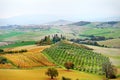 Tuscan countryside landscape with vineyards, cypress trees and rolling hills panoramic view in autumn, Tuscany, Italy