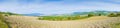 Tuscan countryside with plowed fields on foreground - Panoramic view obtained by stitching several images Italy-Tuscany-Pisa