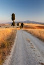 Tuscan countryside at sunset, Italy Royalty Free Stock Photo