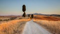 Tuscan countryside at sunset, Italy Royalty Free Stock Photo