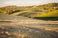 Tuscan countryside at sunset near Montepulciano