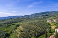 Tuscan countryside with vineyards, olive trees, woods, farms and town