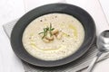 Tuscan creamy white bean soup Royalty Free Stock Photo