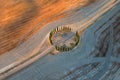 Tuscan cypress trees circle illuminated by the setting sunfrom the air. Royalty Free Stock Photo