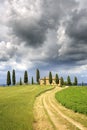 Tuscan Farmhouse with pine trees on a hill. Royalty Free Stock Photo