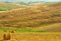 Tuscan fields, Italy Royalty Free Stock Photo