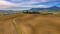 Tuscan hill with Cypress