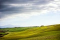 Tuscan hill with row of cypress trees and farmhouse ruin at sunset. Tuscan landscape. Italy Royalty Free Stock Photo