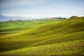 Tuscan hill with row of cypress trees and farmhouse ruin at sunset. Tuscan landscape. Italy Royalty Free Stock Photo