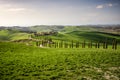 Tuscan hill with row of cypress trees and farmhouse at sunset. Tuscan landscape. Italy Royalty Free Stock Photo