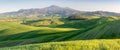 Tuscan hills. Cypresses. Minimalist landscape with green fields in Tuscany. Val D`orcia in the province of Siena, Italy. Royalty Free Stock Photo