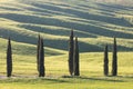 Tuscan hills. Cypresses. Minimalist landscape with green fields in Tuscany. Val D`orcia in the province of Siena, Italy. Royalty Free Stock Photo