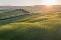 Tuscan hills. Cypresses. Minimalist landscape with green fields in Tuscany. Val D`orcia in the province of Siena, Italy. Royalty Free Stock Photo