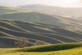 Tuscan hills. Cypresses. Minimalist landscape with green fields in Tuscany. Val D`orcia in the province of Siena, Italy. Royalty Free Stock Photo