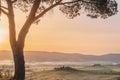 Tuscan house in the hills among the cypresses