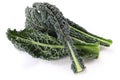 Black kale, italian kale Royalty Free Stock Photo