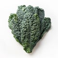 Tuscan kale salad leaves isolated on white background. Royalty Free Stock Photo