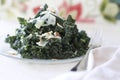Tuscan Kale Salad Royalty Free Stock Photo