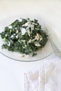 Tuscan Kale Salad Royalty Free Stock Photo