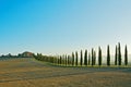 Tuscan landscape Royalty Free Stock Photo